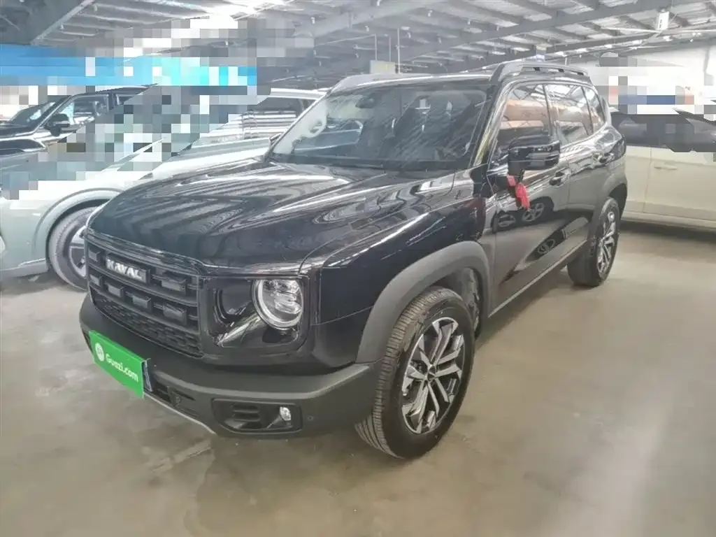 Haval Big Dog — фото 10