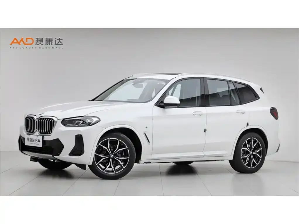 BMW X3 — фото 1