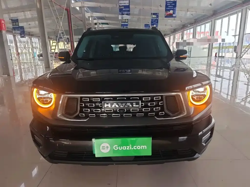 Haval H7 (Big Dog Plus) New Energy — фото 3