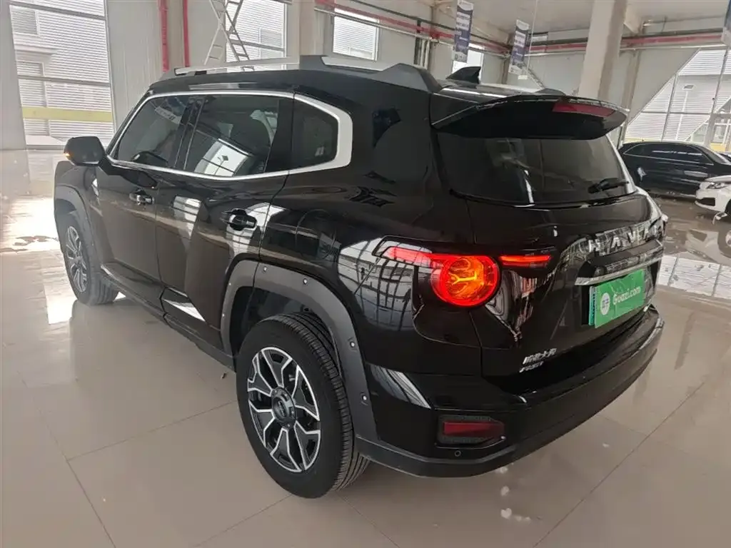 Haval H7 (Big Dog Plus) New Energy — фото 7