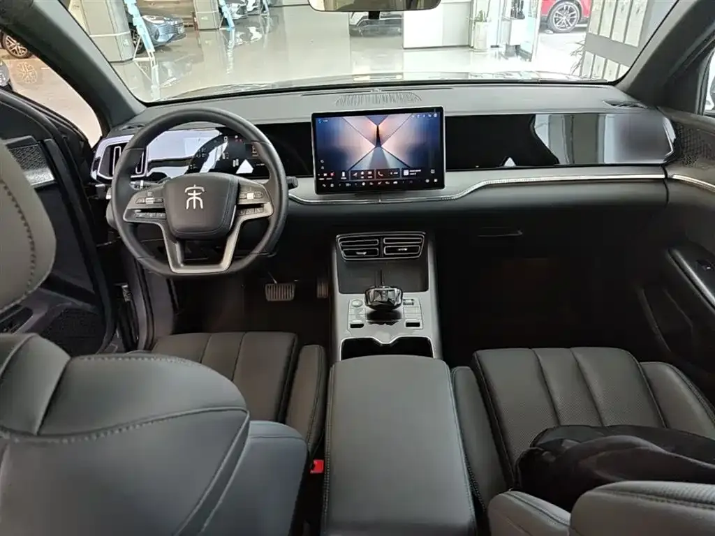 BYD Pro New Energy — фото 4