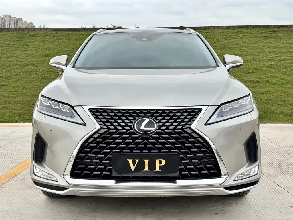 Lexus RX — фото 8