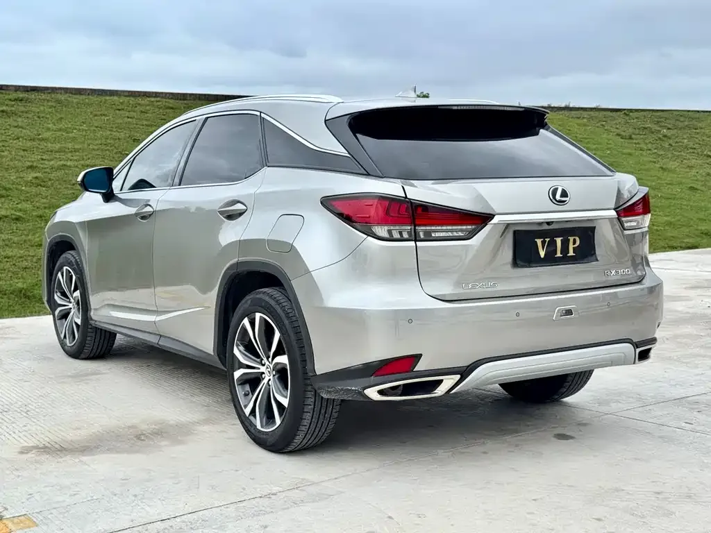 Lexus RX — фото 5