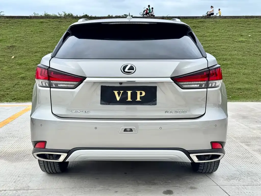 Lexus RX — фото 4