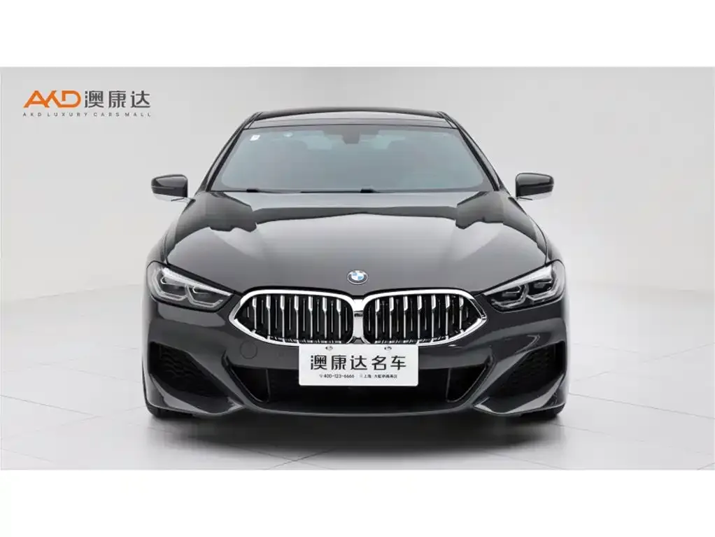 BMW 8 Series — фото 9