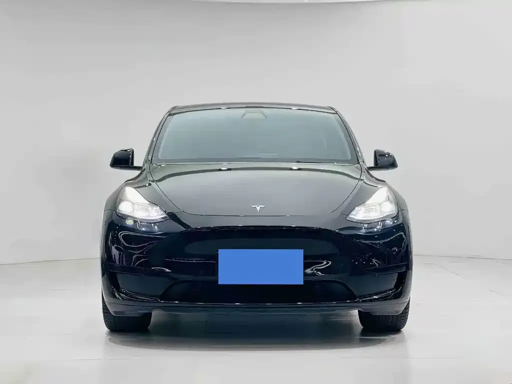Tesla Model Y — фото 5
