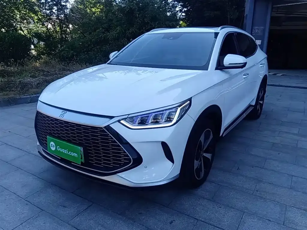 BYD PLUS New Energy — фото 1