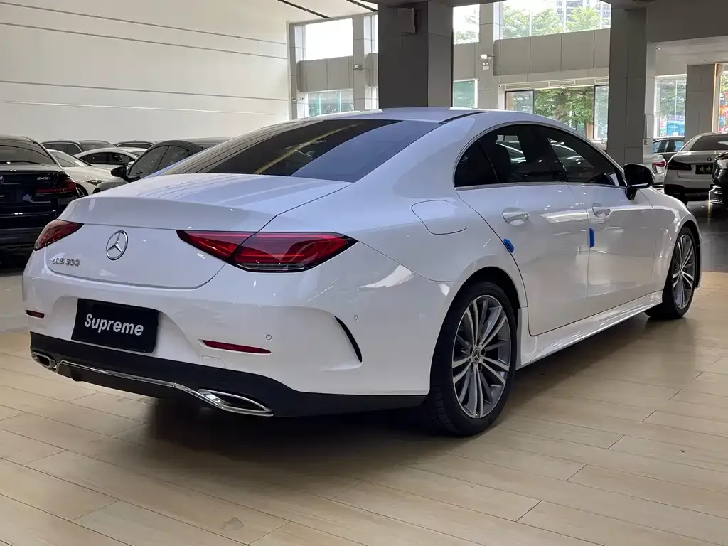 Mercedes-Benz CLS — фото 10