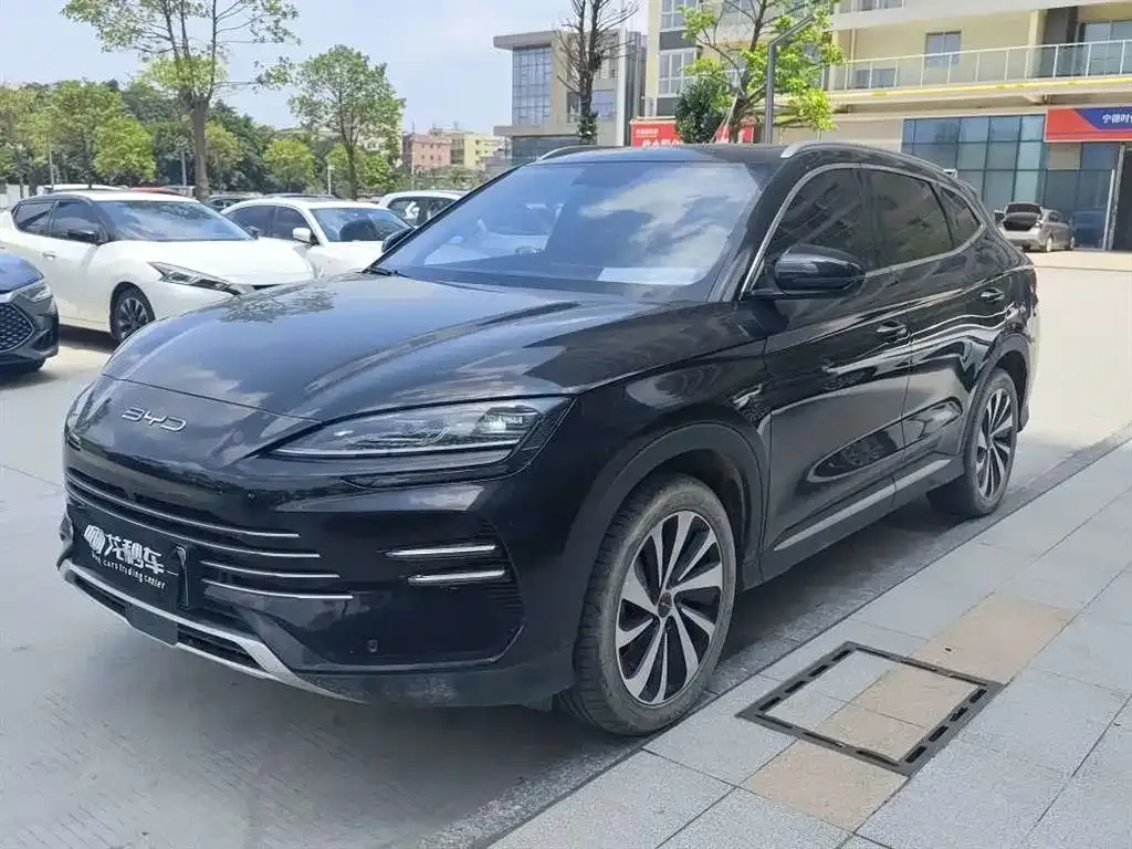 BYD PLUS New Energy — фото 1