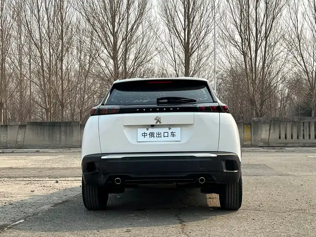 Peugeot 2008 — фото 10