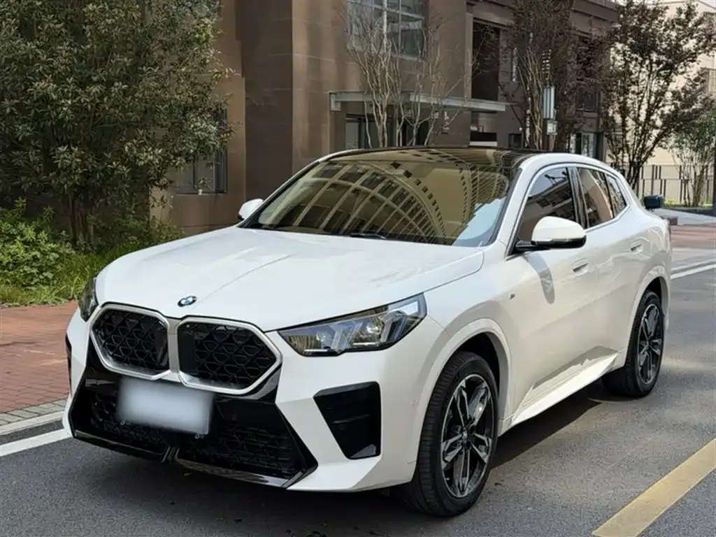 BMW X2 (Import) — фото 1