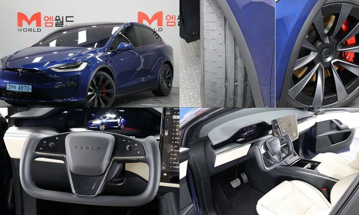 Tesla Model X — фото 1