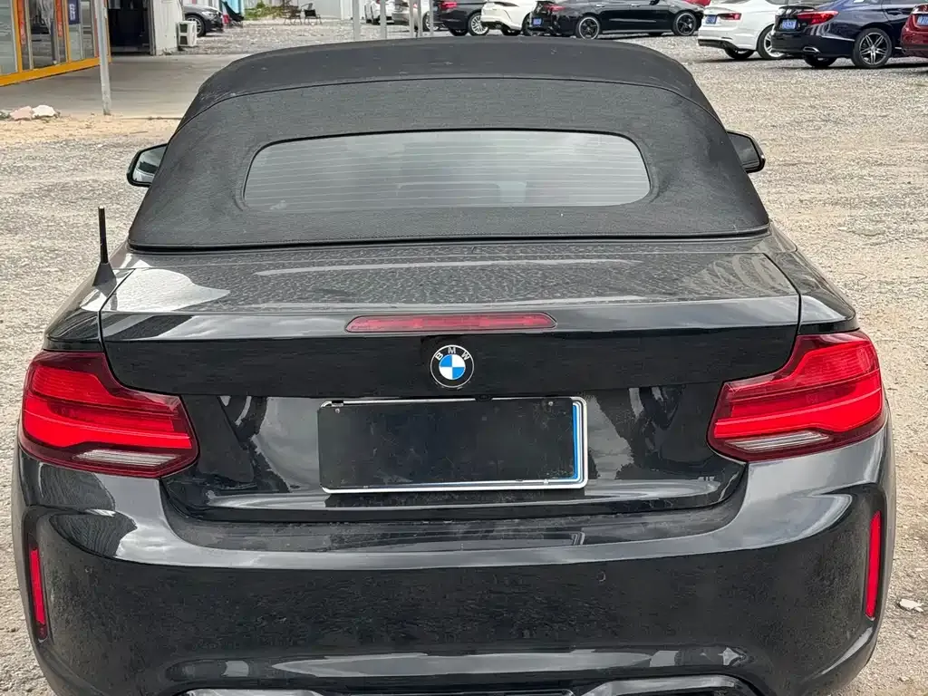 BMW 2 Series (Import) — фото 8