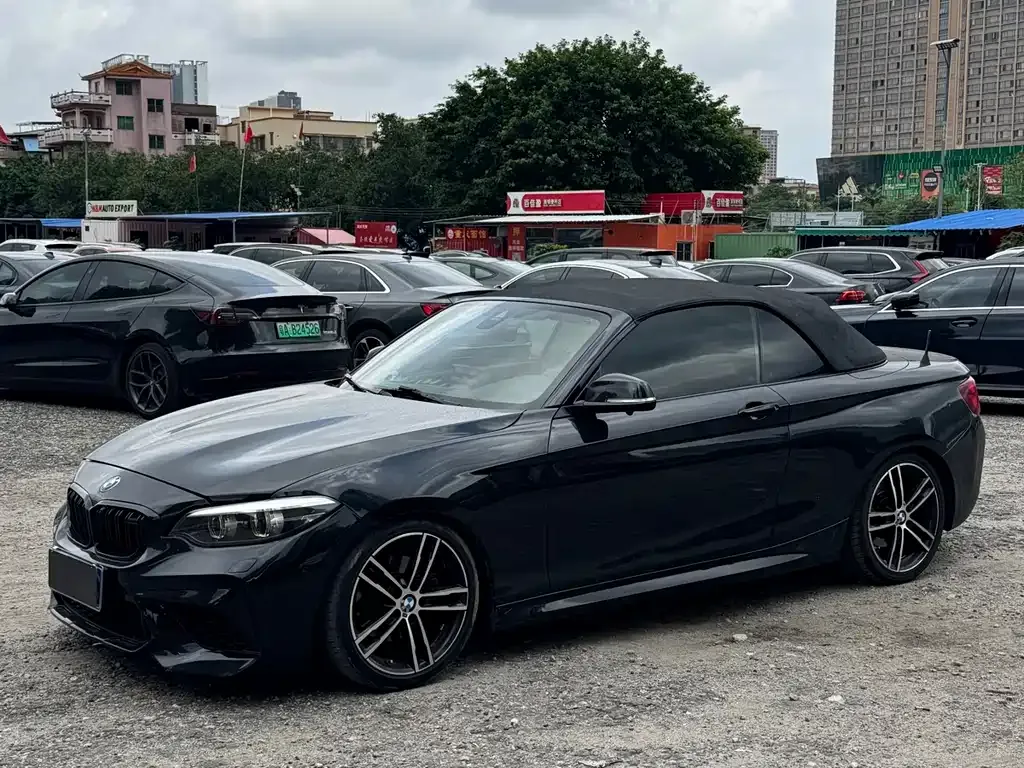 BMW 2 Series (Import) — фото 10