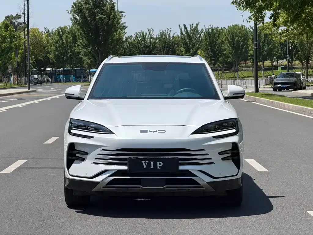 BYD PLUS New Energy — фото 3