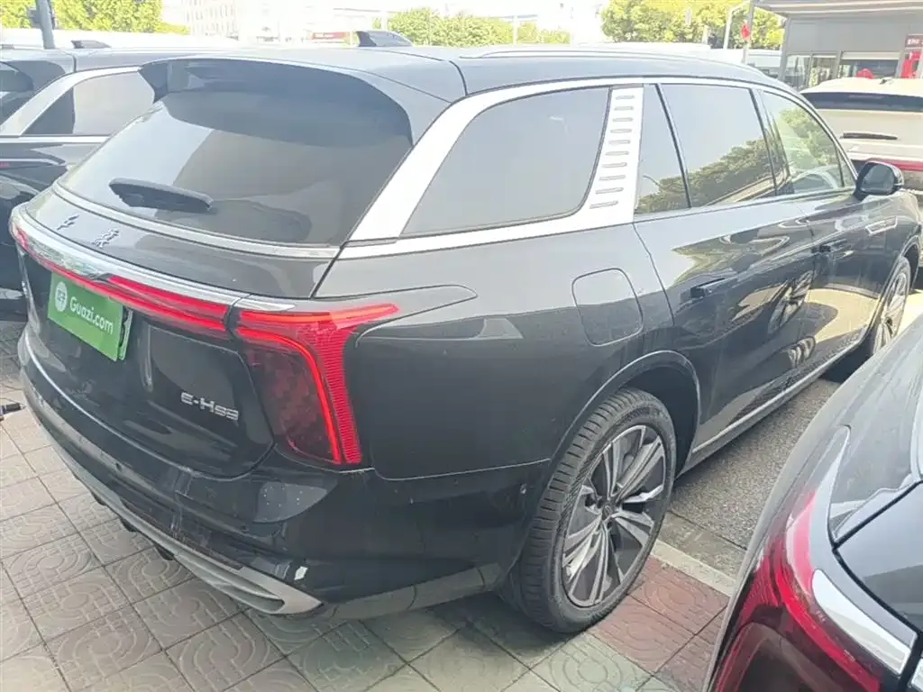 Hongqi E-HS9 — фото 10