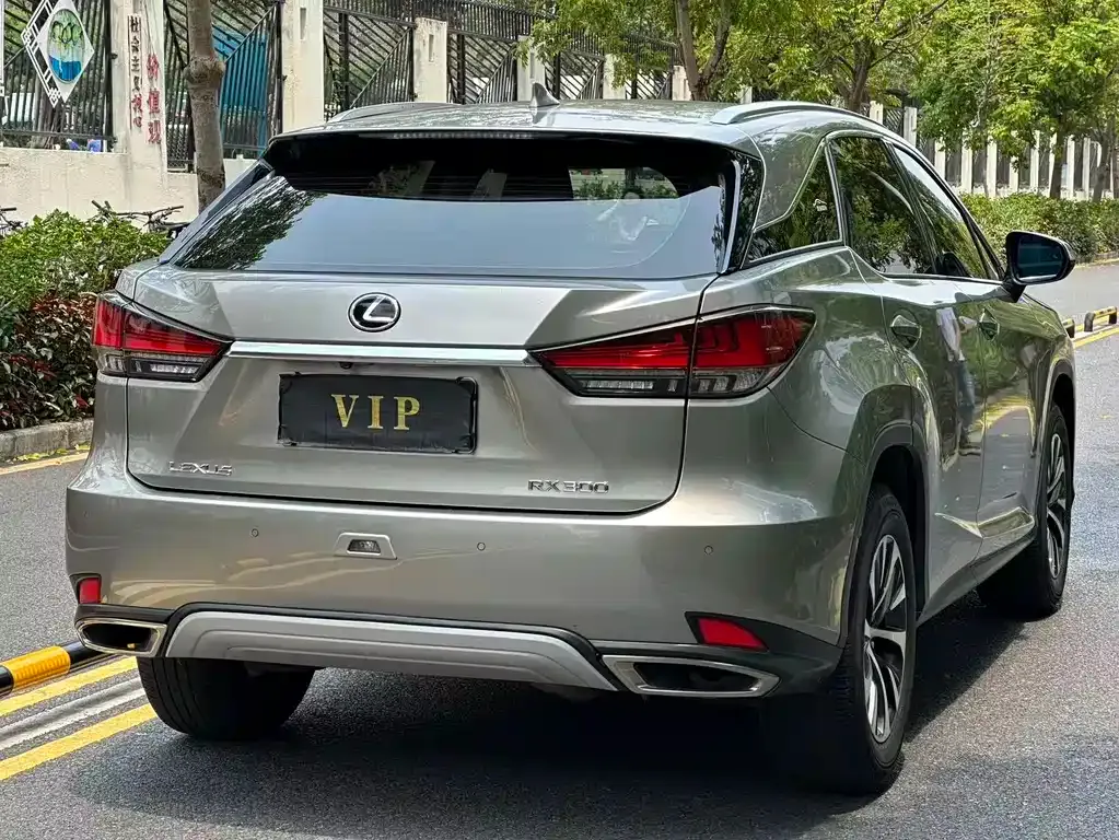 Lexus RX — фото 10
