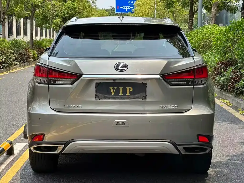 Lexus RX — фото 6