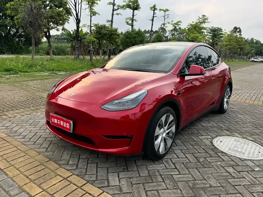 Tesla Model Y — фото 1