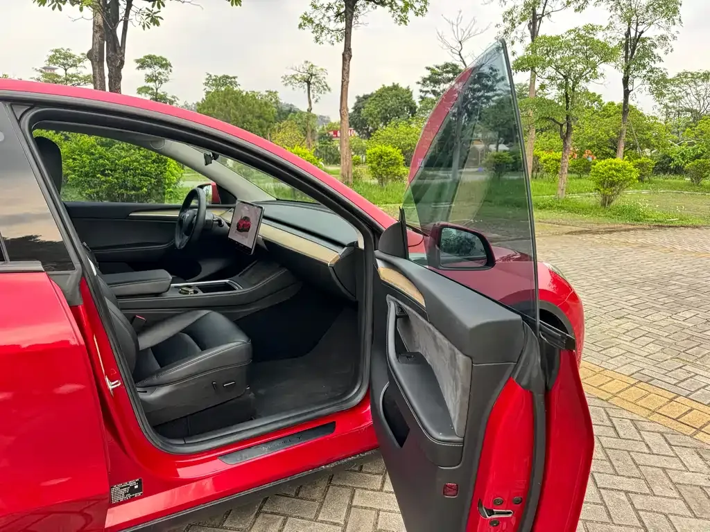 Tesla Model Y — фото 10