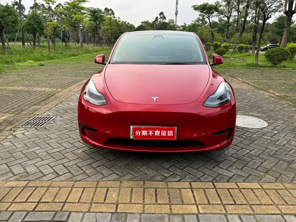 Tesla Model Y — фото 9