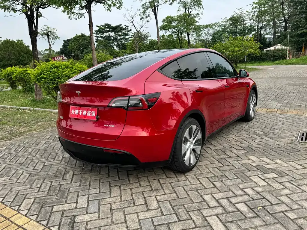 Tesla Model Y — фото 8