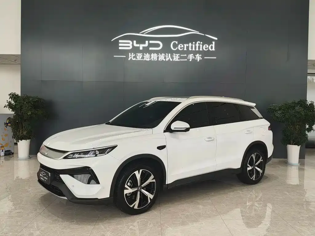 BYD Pro New Energy — фото 1