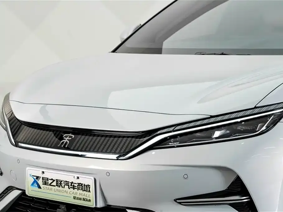 BYD L EV — фото 2