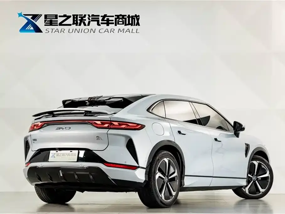 BYD L EV — фото 8