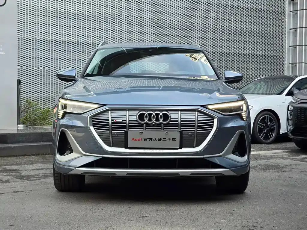 Audi e-tron — фото 6