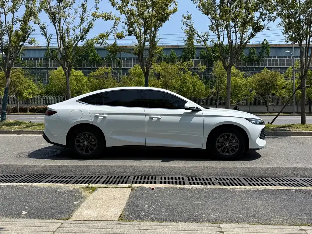 BYD Qin L — фото 4