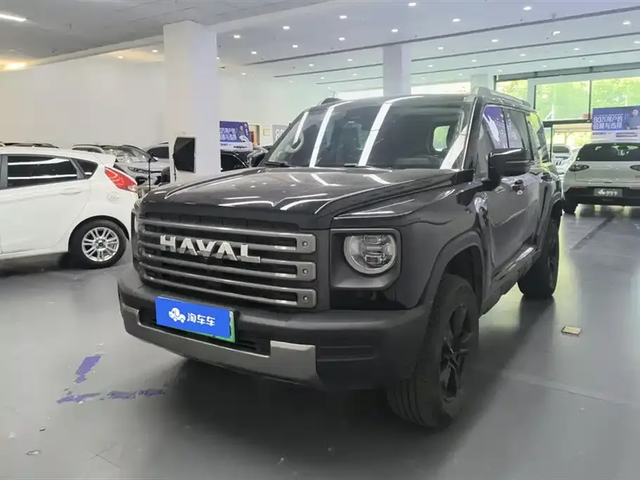 Haval Menglong New Energy — фото 1
