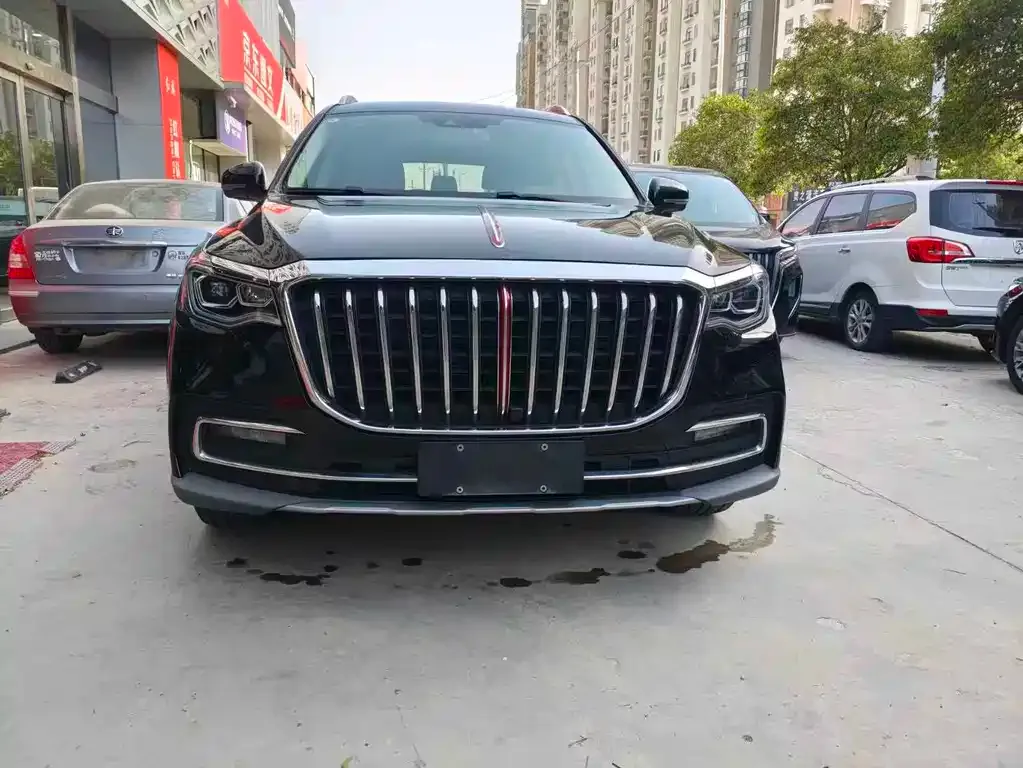 Hongqi HS7 — фото 10