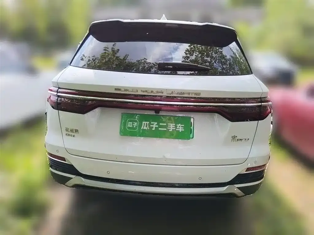 BYD Pro New Energy — фото 7