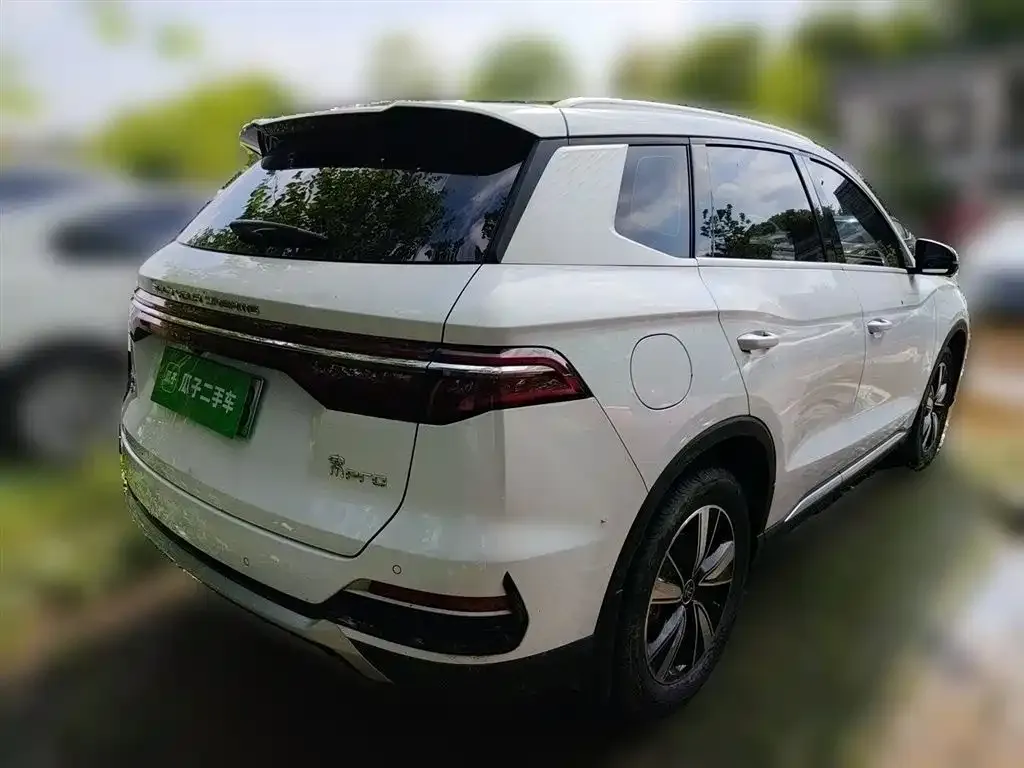 BYD Pro New Energy — фото 3