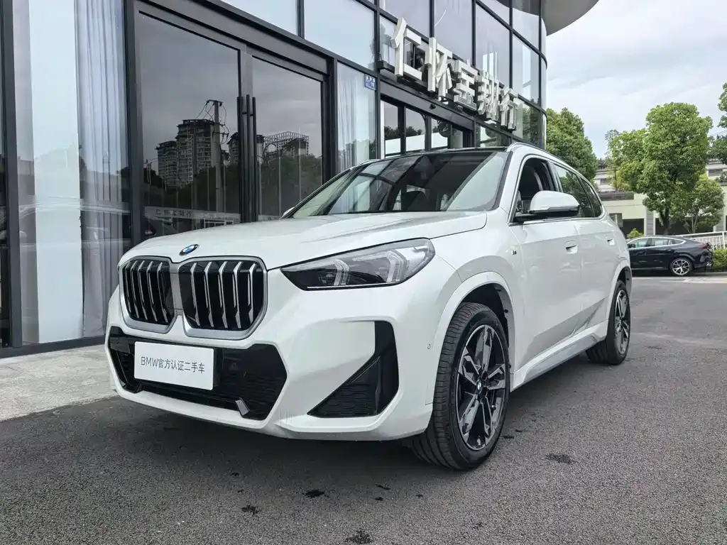 BMW X1 — фото 1