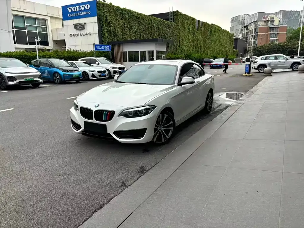 BMW 2 Series (Import) — фото 1