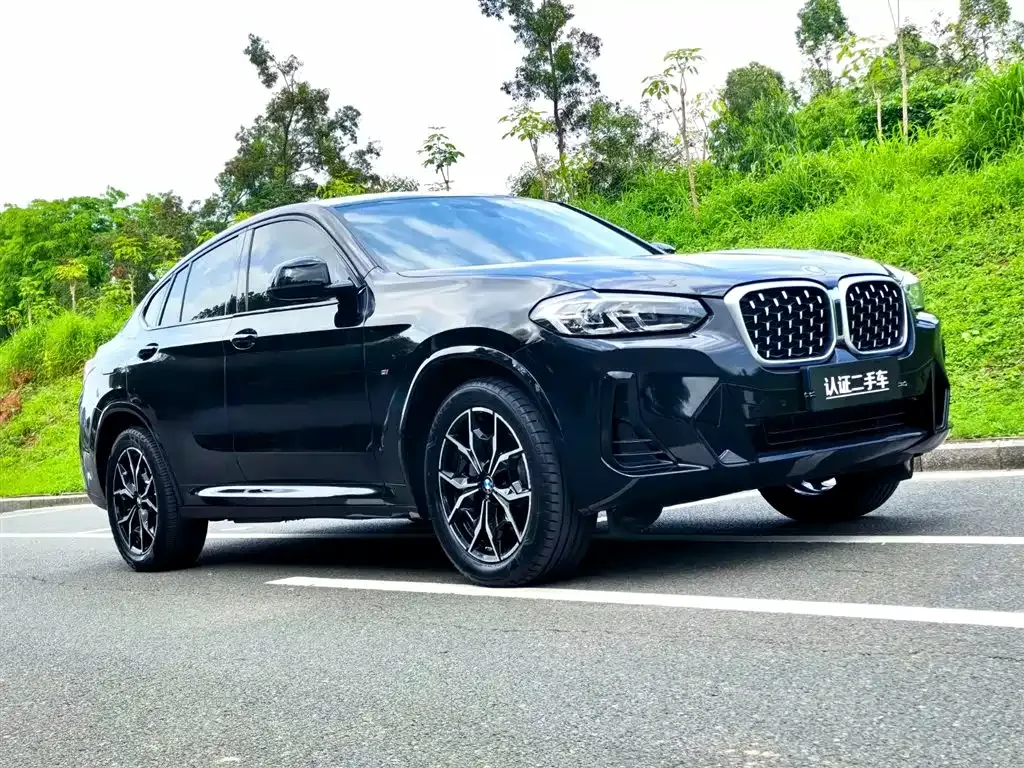 BMW X4 — фото 6