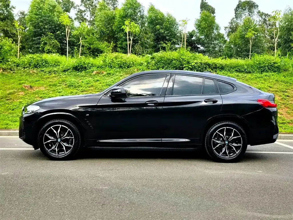 BMW X4 — фото 10