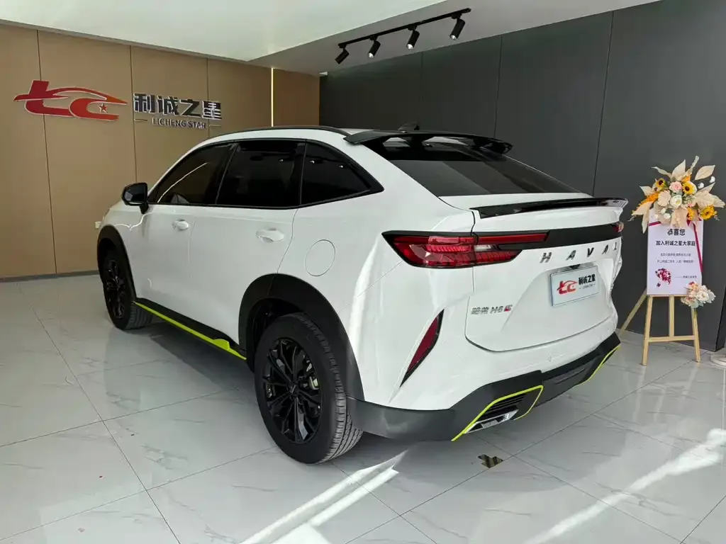 Haval H6S — фото 3