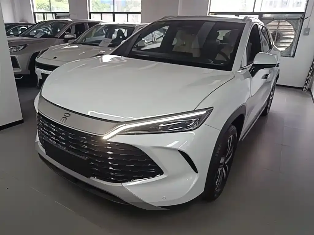 BYD L DM-i — фото 1