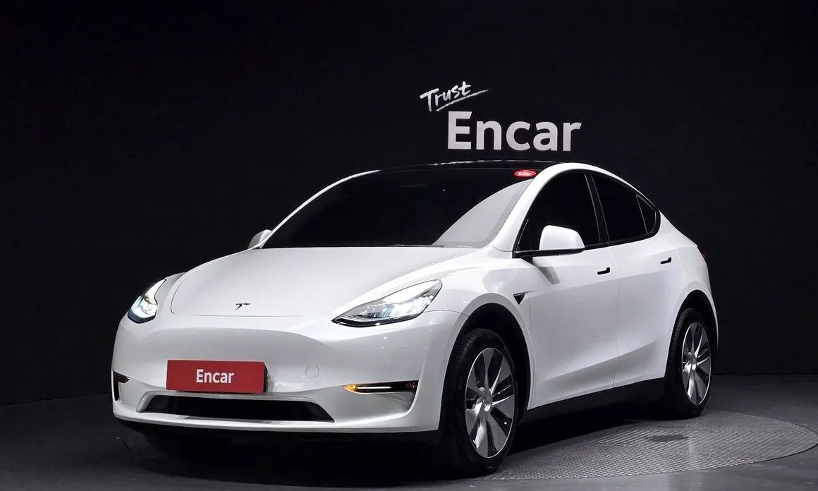 Tesla Model Y — фото 1