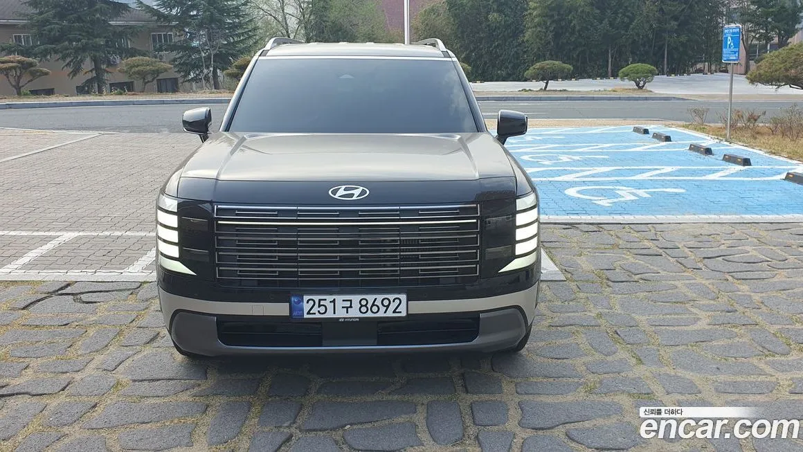 Hyundai Palisade — фото 10
