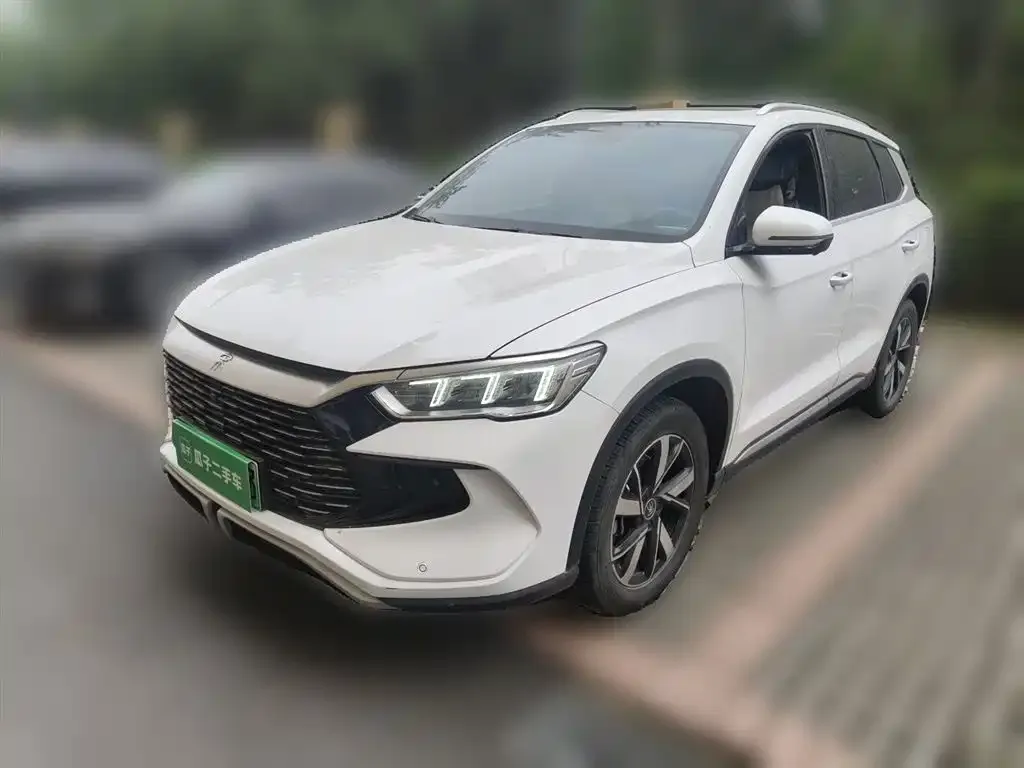 BYD Pro New Energy — фото 1
