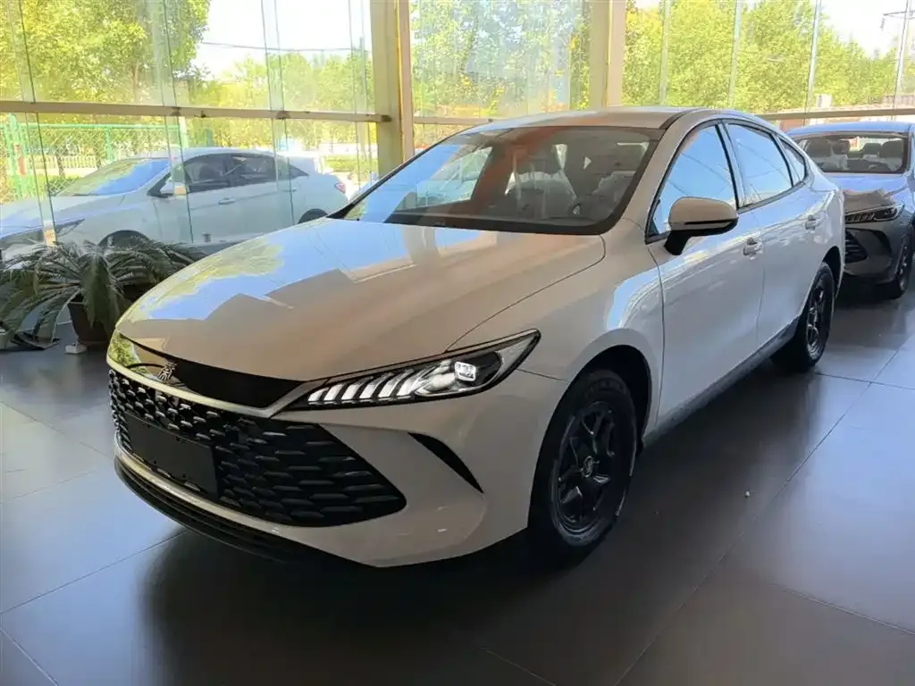 BYD Qin PLUS — фото 1