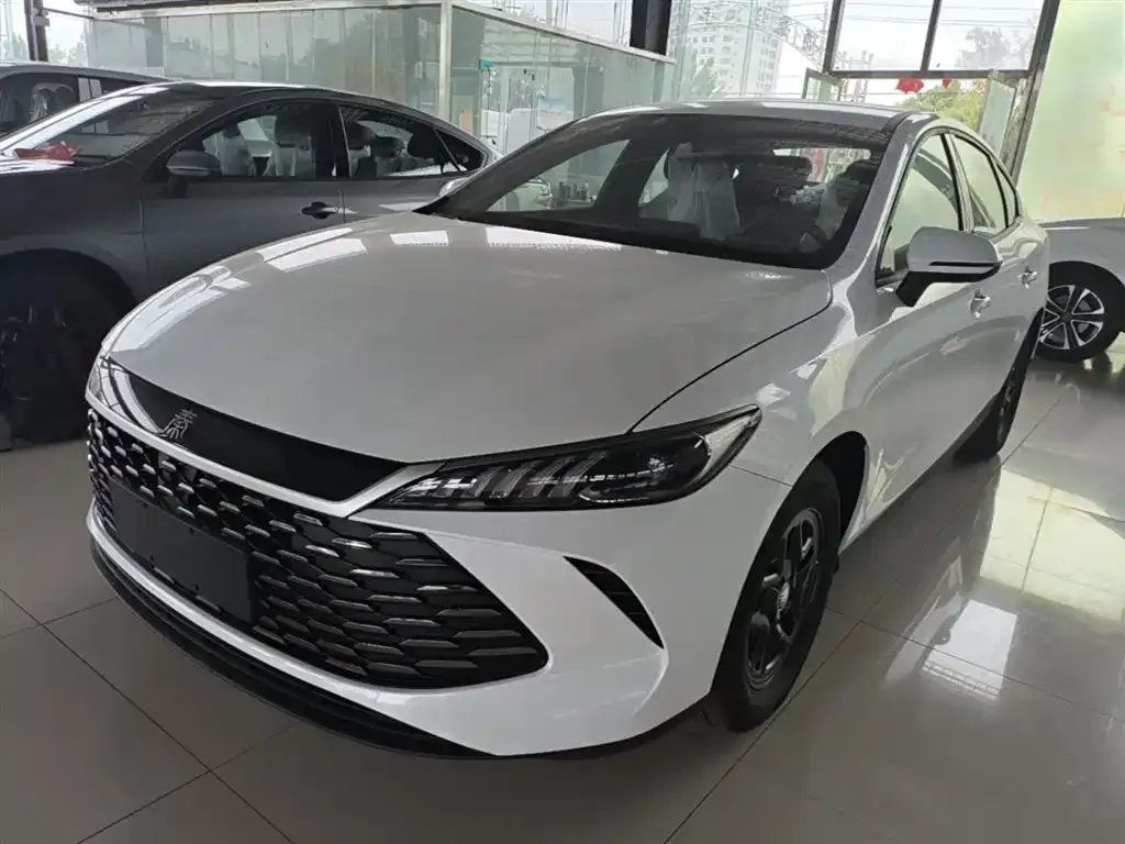 BYD Qin PLUS — фото 1