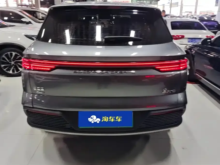 BYD Pro New Energy — фото 9