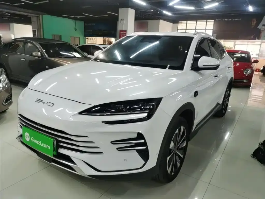BYD PLUS New Energy — фото 3