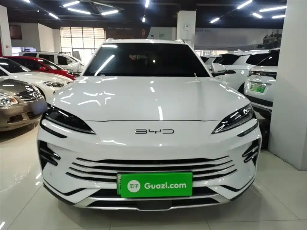 BYD PLUS New Energy — фото 10