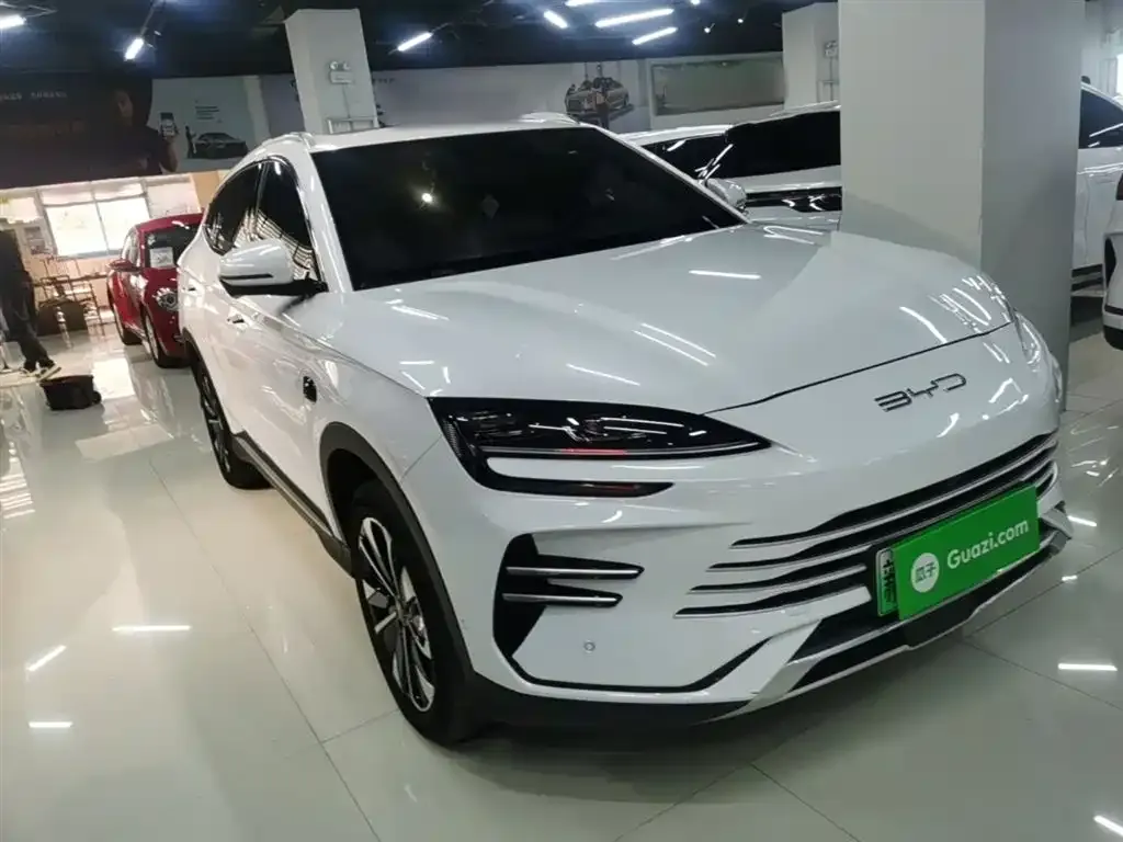 BYD PLUS New Energy — фото 7